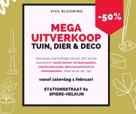 Viva Blooming mega uitverkoop